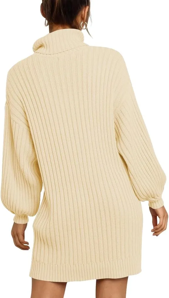 ANRABESS Women Oversized Sweater Dress Turtleneck Batwing Long Sleeve Ribbed Knit Loose 2025 Fall Winter Casual Short Dress