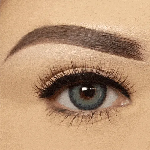 LUSCIOUS Magnetic Round Lashes